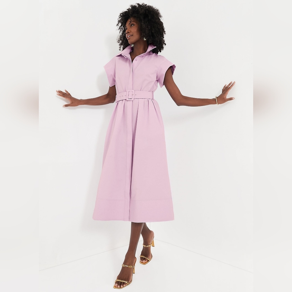 Tuckernuck Lilac Chloe Dress size XL (missing belt)